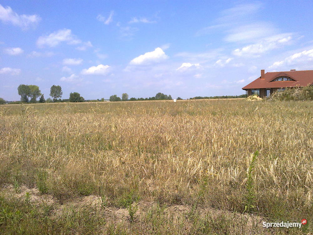 osiedle lesie Ceradz Dolny