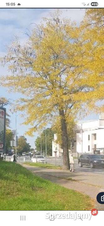 Kiosk Handlowo Usługowy Okazja Wrocław
