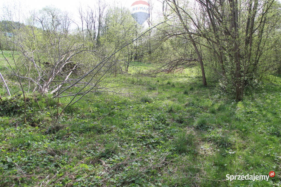 Kompleks działek w miejscowości Skomielna Biała 0m Sprzedaż