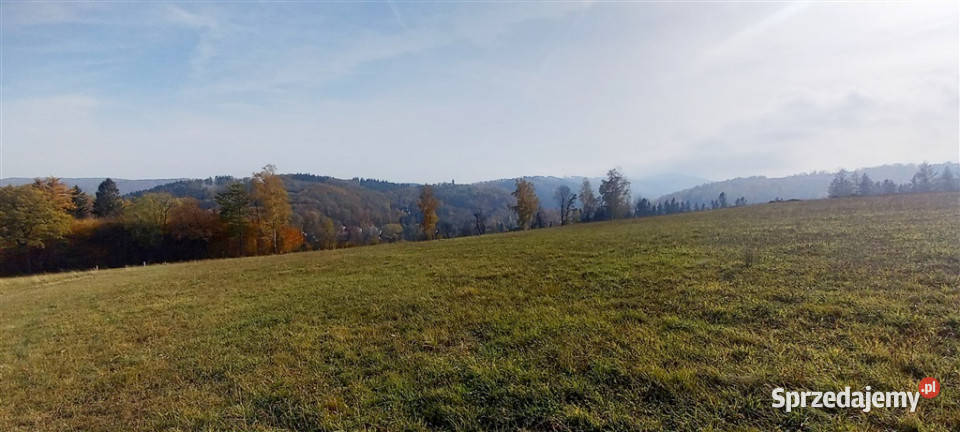 Widokowa działka Zagórze Śląskie