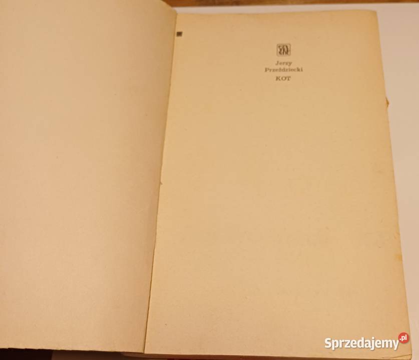 Kot Jerzy Przeździecki Kraków