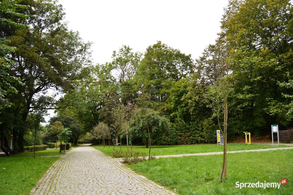 Kawalerka remoncie 28 m2 Isze piętro Nowe Miasto Piętro 1 dolnośląskie Wałbrzych