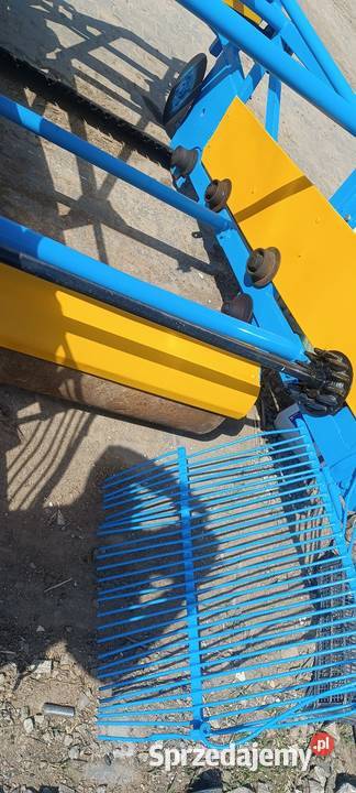 Kopaczka do cebuli krukowiak małopolskie Radziemice