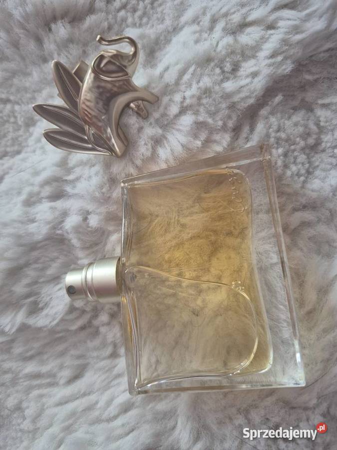 Kenzo Jungle sprzedam
