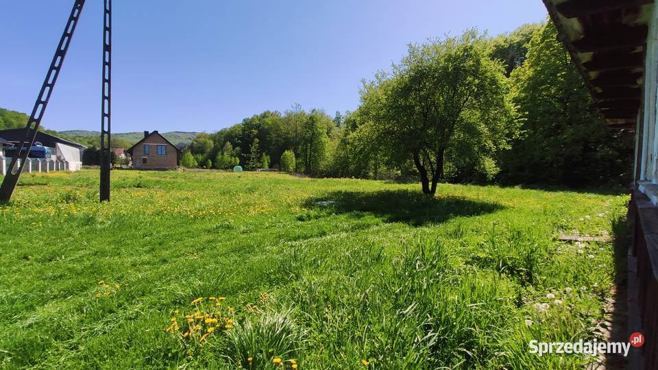 Działka Budowlana Kamionna gmina Trzciana 60a 6000m2