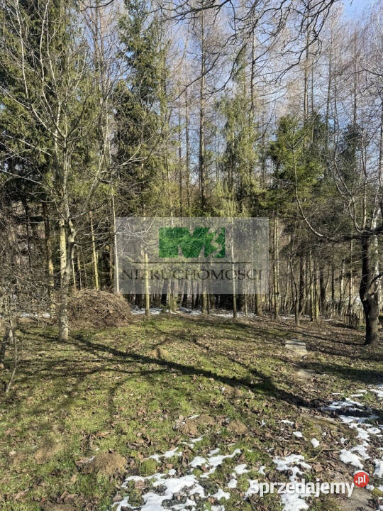 sprzedaży domu wolnostojącego 1891m2 Wola Wola Rafałowska sprzedam