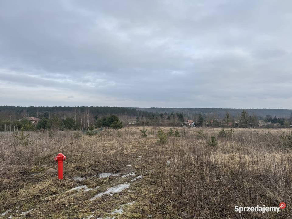 Działka budowlana 1554 m Tryszczyn k Bydgoszczy