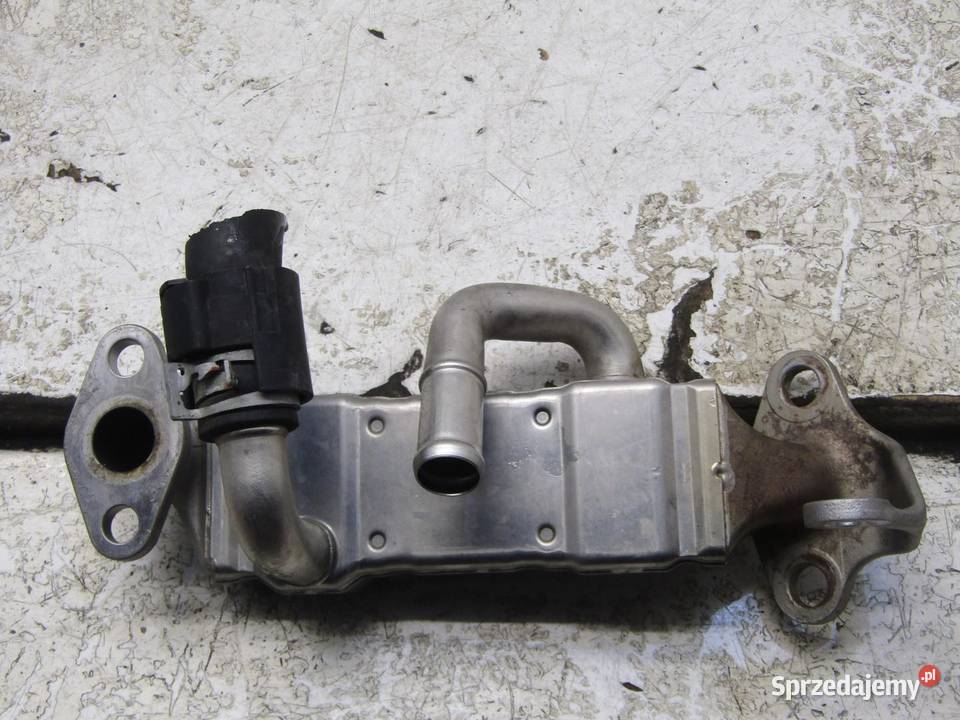 CHŁODNICZKA CHŁODNICA SPALIN EGR 13 IVTEC HONDA lubelskie sprzedam