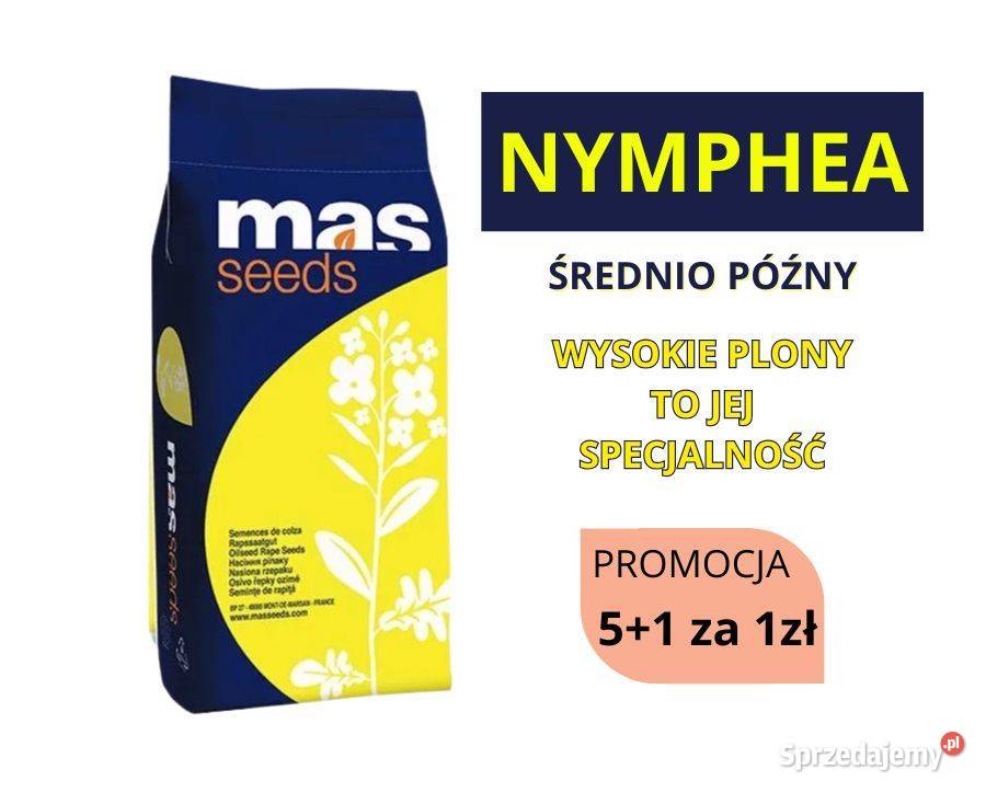 Nasiona rzepaku MAS NYMPHEA 15 mln nasion Kałuszyn