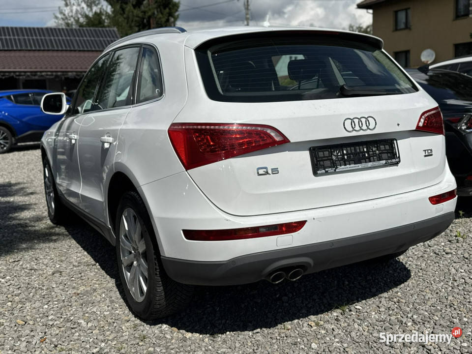 Audi Q5 Audi Q5 20 TDI quattro led automat LIFT Łodygowice