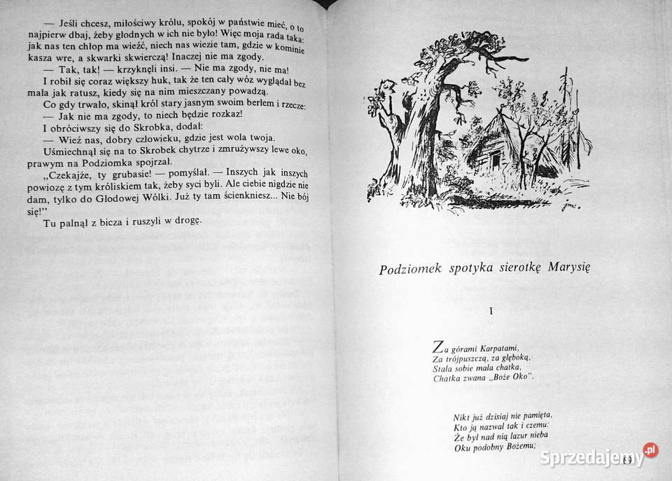 O krasnoludkach i o sierotce Marysi Maria Pozostałe Chełm