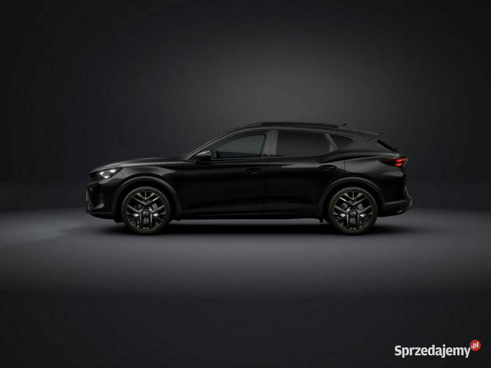 Cupra Formentor Tribe Edition 20 TSI 204 DSG kamera cofania Łódź