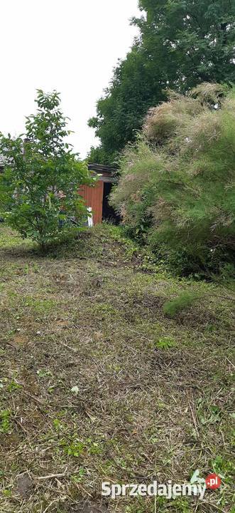 Działka Młodzieszyn sprzedam