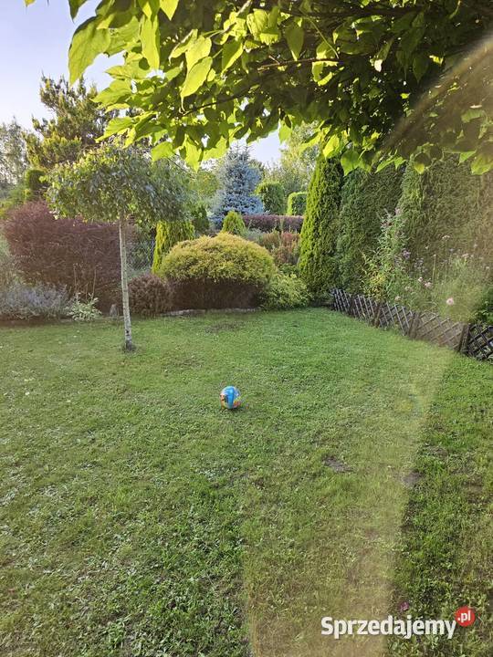 Działka ROD 300m2 Nieruchomości Radomsko