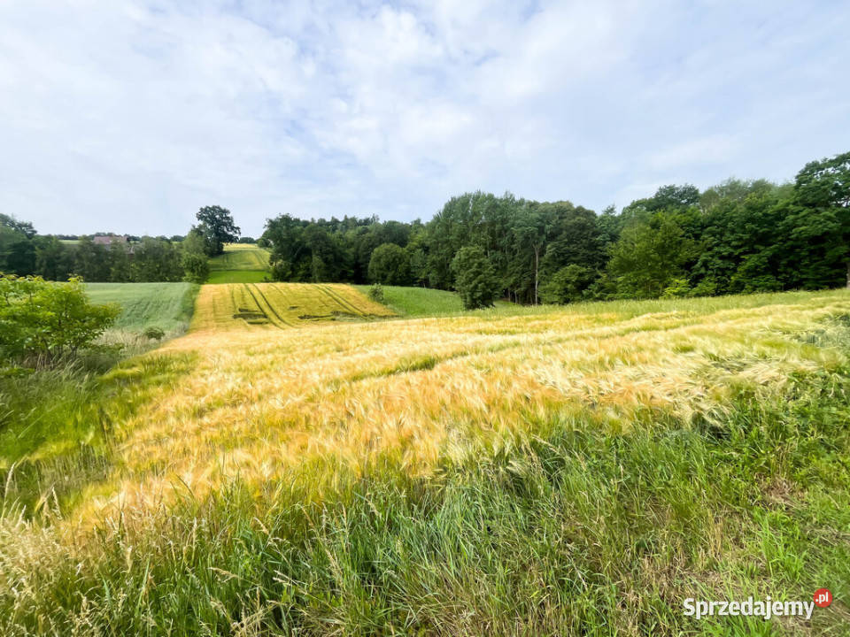 Ustawna działka z WZ 8300m2 Czajęcice