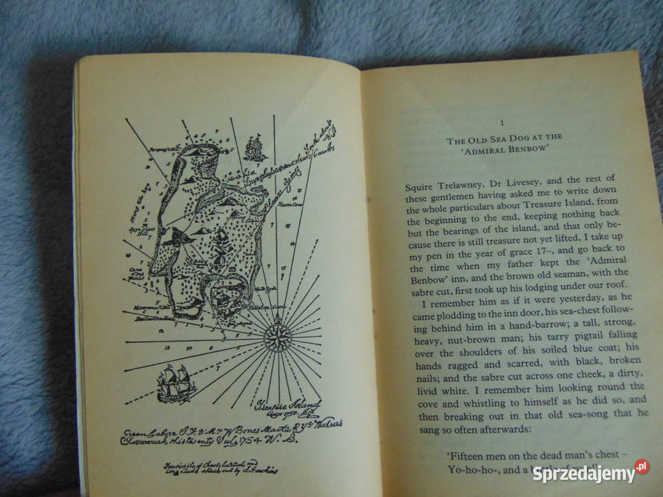 Treasure Island Robert Louis Stevenson Wyspa miękka Lublin