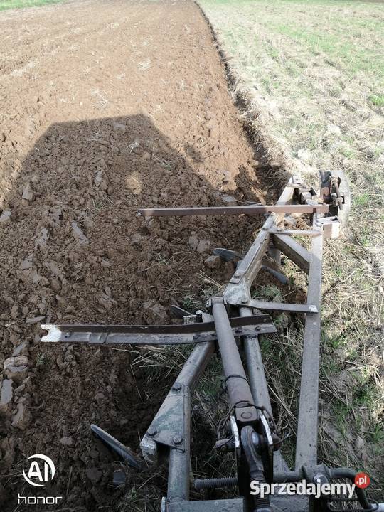Pług 4 skibowy unia Grudziądz Pietrusy sprzedam