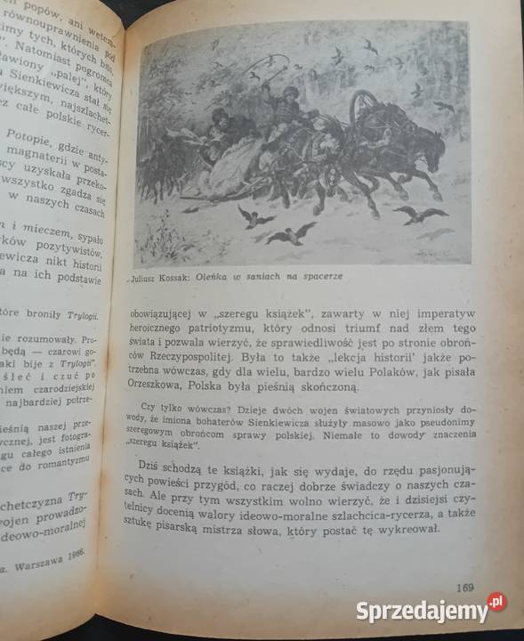 Alina NoferŁadyka Literatura polska okresu wielkopolskie Koźminek