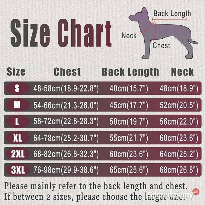 Kurteczka Axcimond zielony L Myszyniec