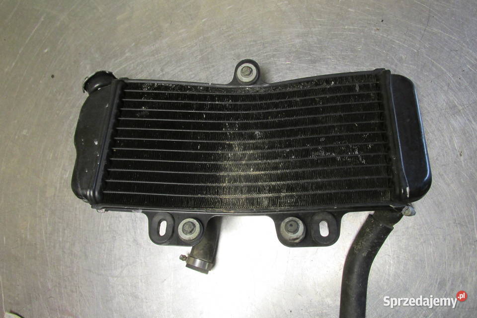 Chłodnica Yamaha TDR 125 02r Sandomierz sprzedam