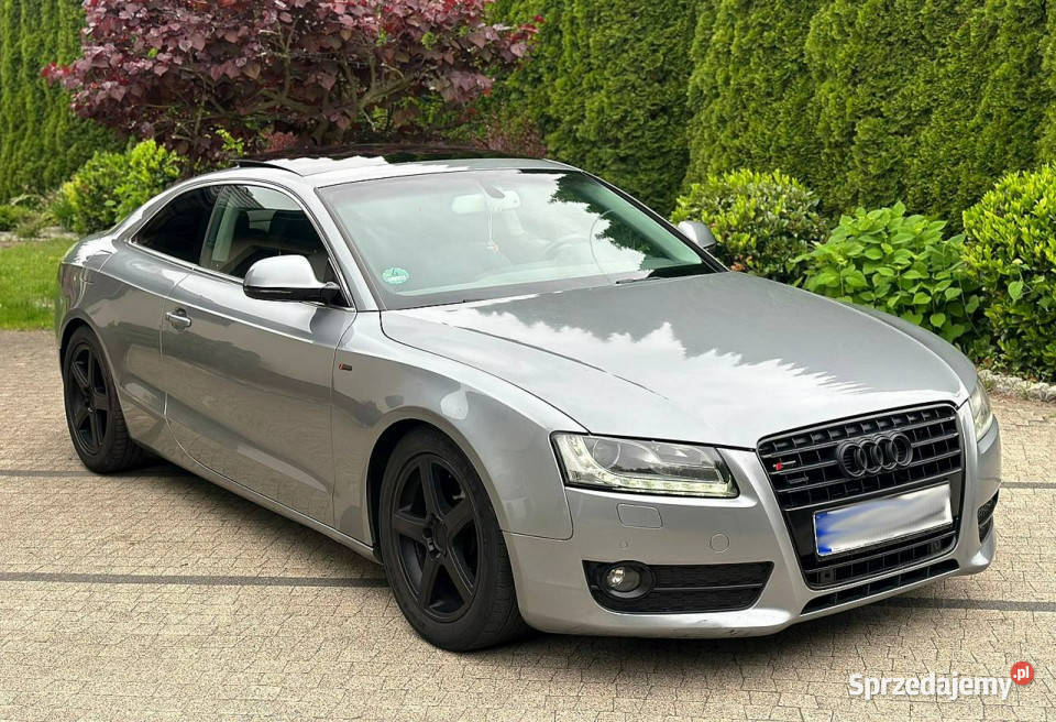 Audi A5 Coupe Audi A5 30TDI Quattro Manual SLine A5 Wrocław sprzedam