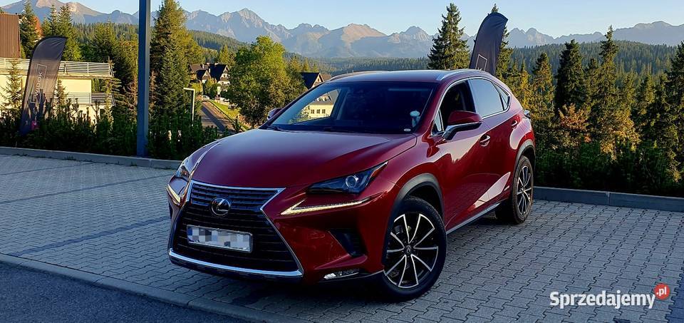 Piękny LEX PoLIFT Hybryda Gwarancja ASO isofix Nowy Sącz