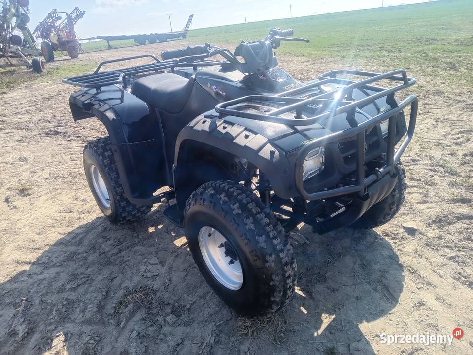 quad traper 250 nowe opony transport