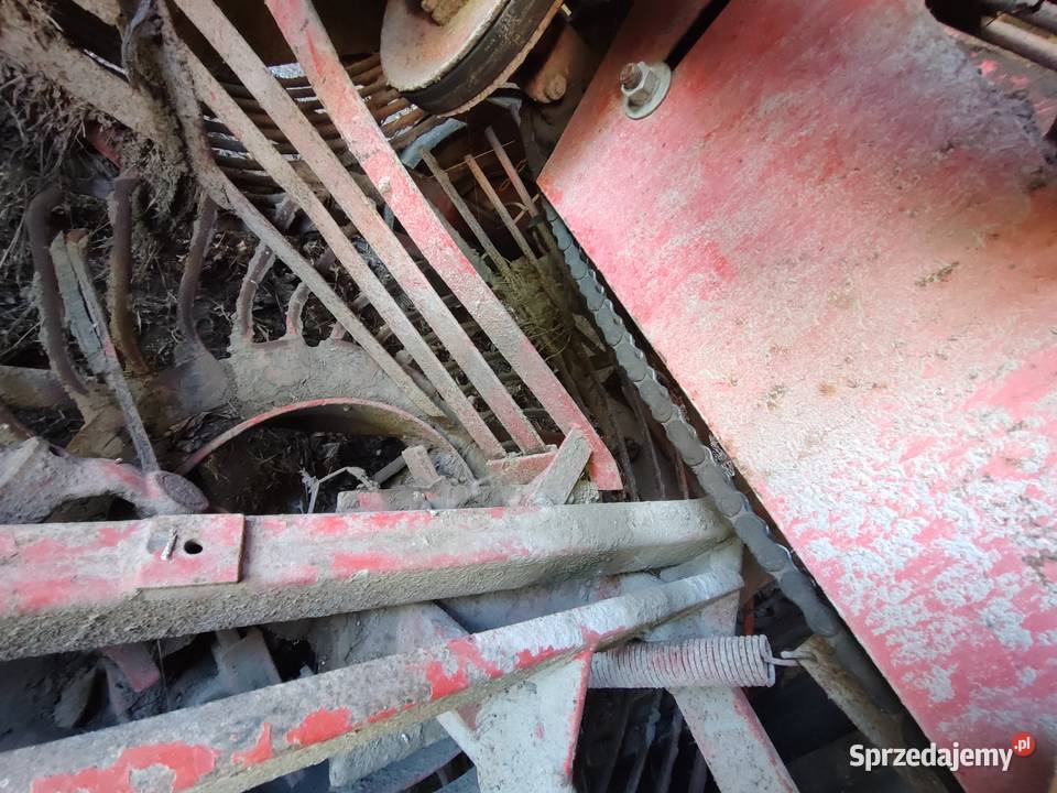 Kombajn buraczany Neptun z413 Łowkowice