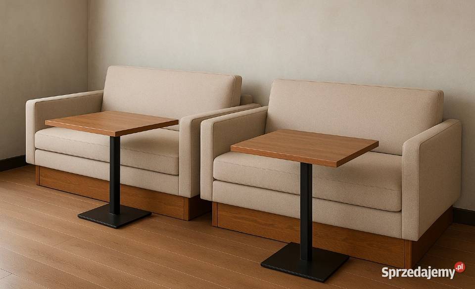 Wykonanie hoteli barów restauracji itp jestem Kraków