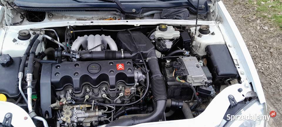 Citroen Saxo 15d super stan bez rdzy klima itp Samochody osobowe Czerwionka-Leszczyny