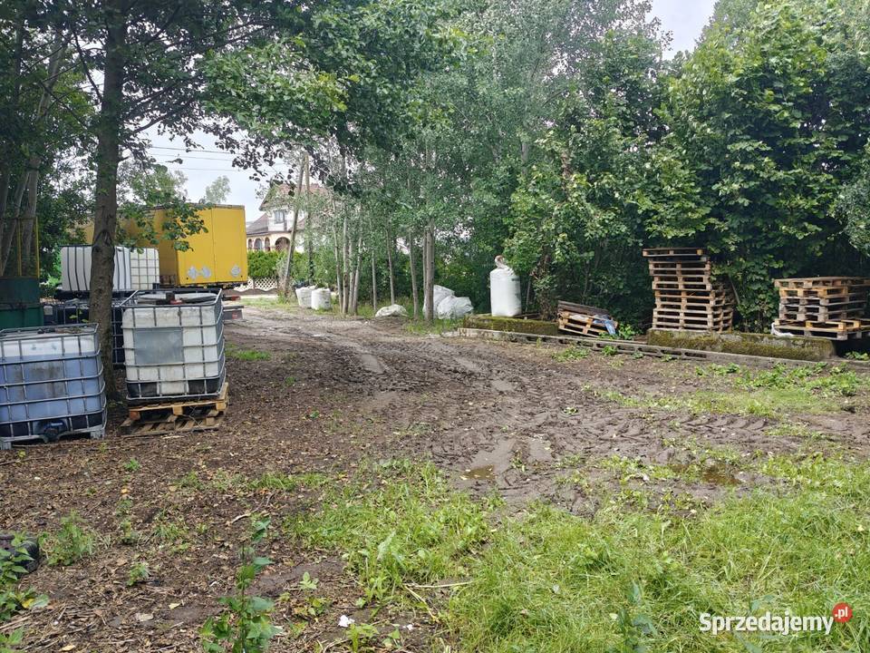 Syndyk sprzeda Stegna budowlana