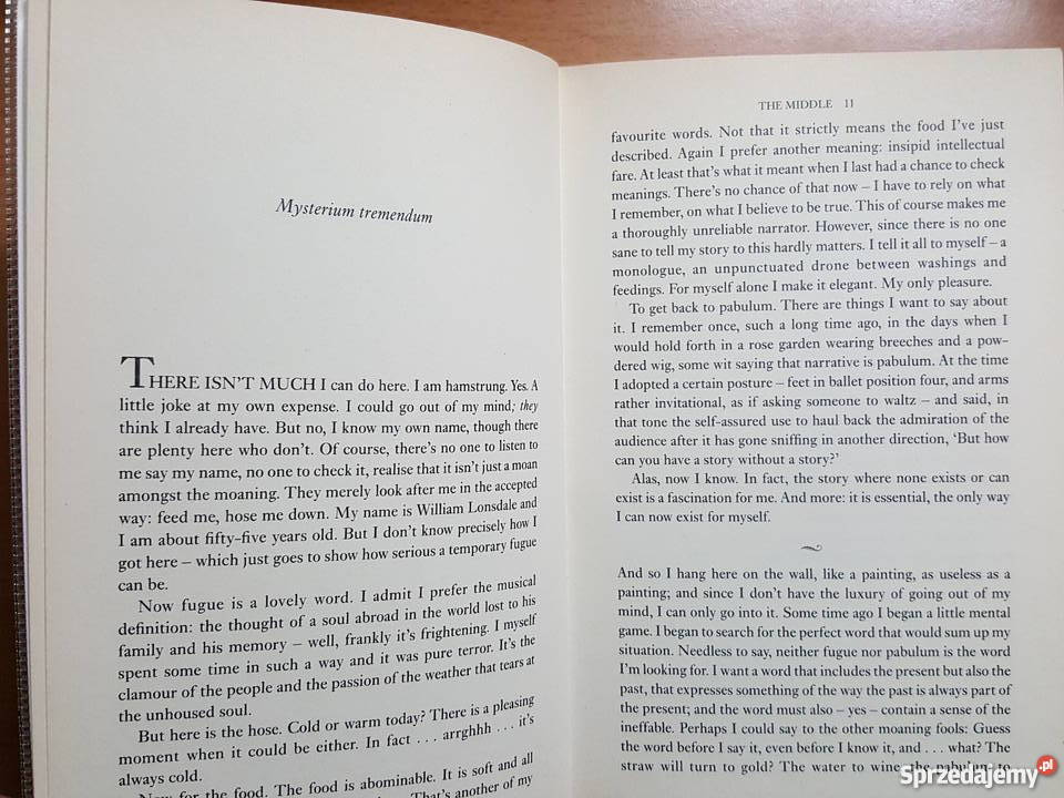 Książka angielsku The Curative Charlotte Randall Złotniki