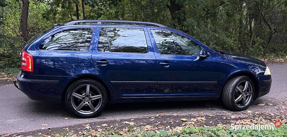 Skoda Octavia 2 19tdi Stary Kisielin