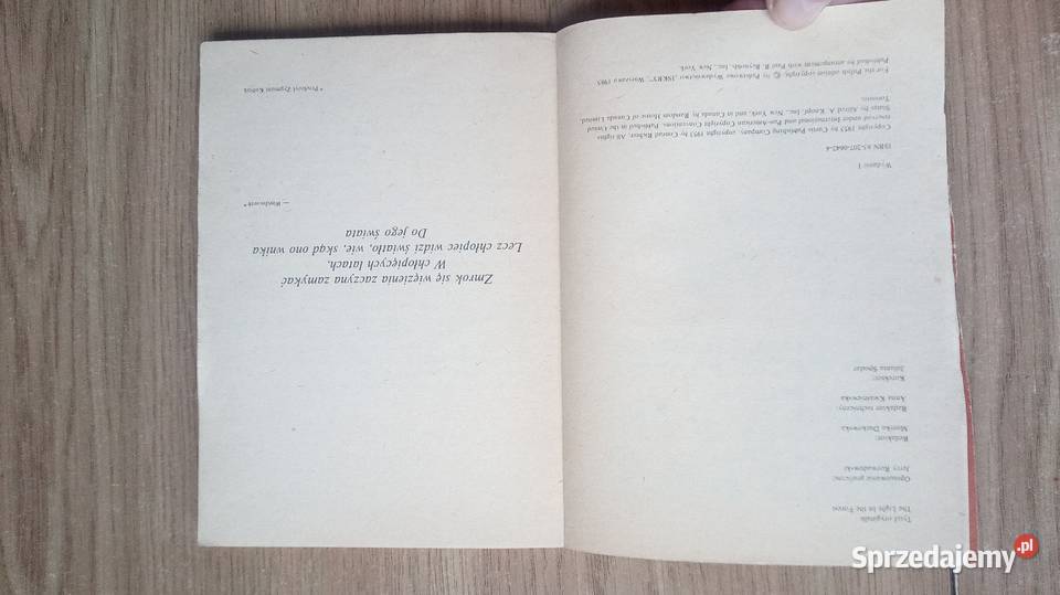 Światło w lesie Warszawa