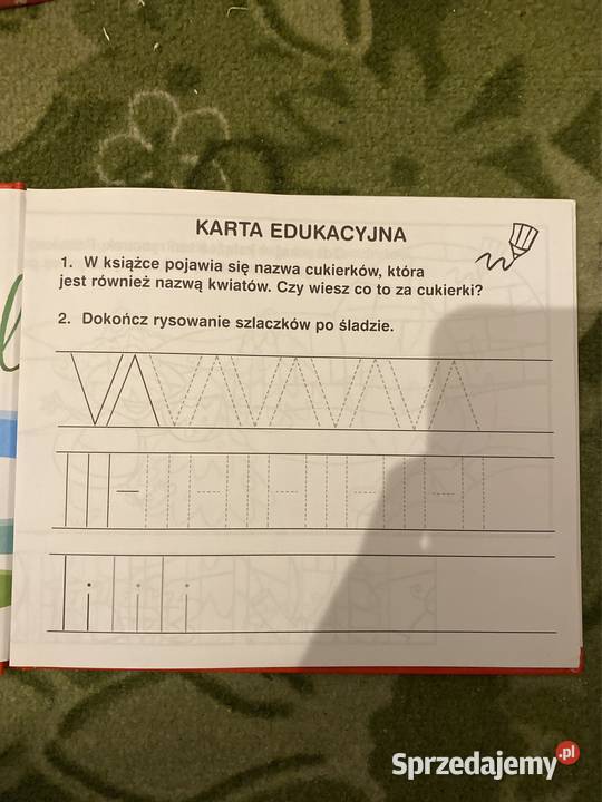 49 książek 7 1 sztukę Abc uczę się Małgorzaty Pruszcz Gdański