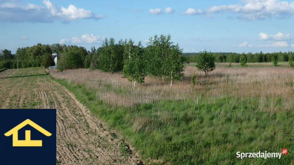 Działka w Gadce gmina Kołbiel Gadka