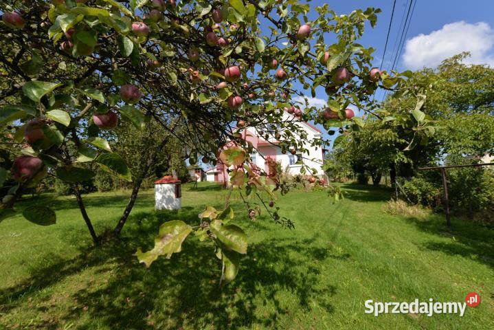 sprzedaży domu wolnostojącego 80m2 Dębica garaż podkarpackie