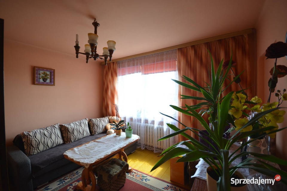 Dom wolnostojący 100m2 Chojno Nowe Drugie 13694m2