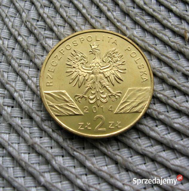 Polska 2 GN 2014r Konik Polski Ładna wielkopolskie Kalisz sprzedam