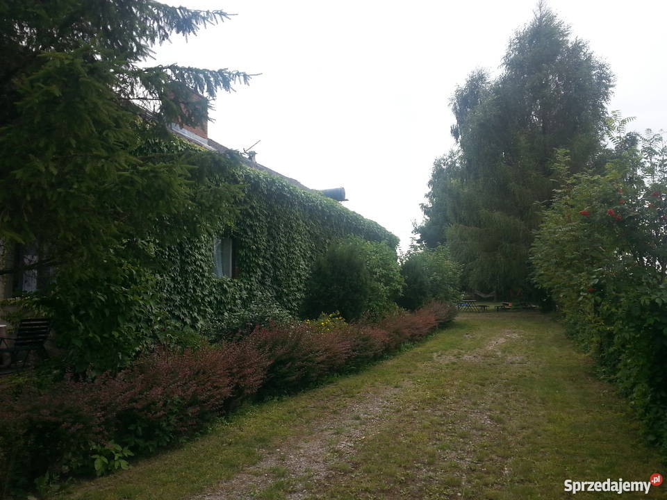 Sprzedam gospodarstwo rolne 42500m2 Gruszka Zaporska sprzedam