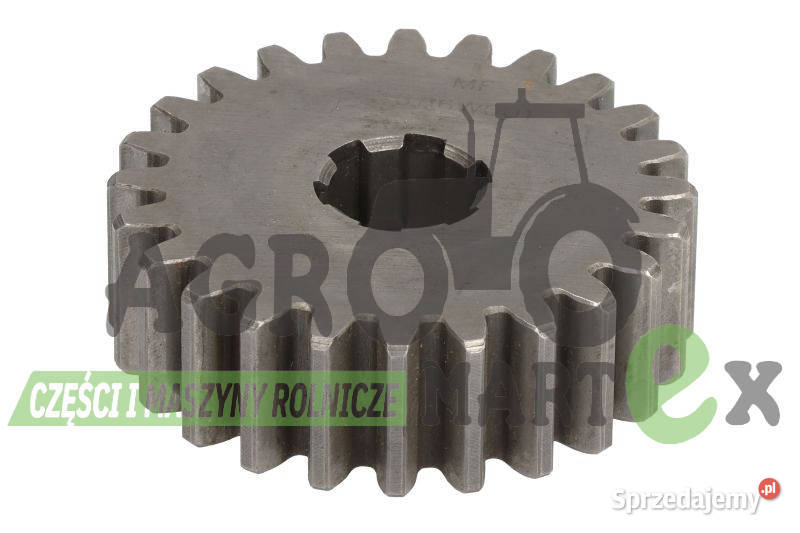 3116W001 KOŁO ZĘBATE POMPY OLEJU Z24 AGCO Wichrów