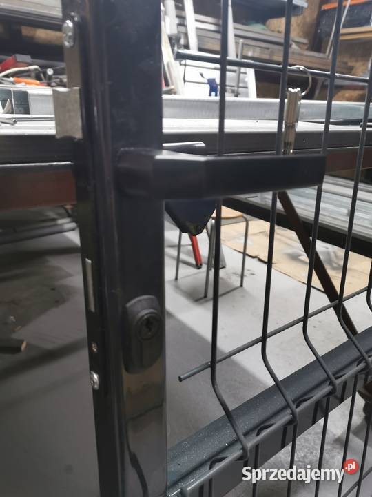 Bramy i furtki wypełnione panelem Rypin