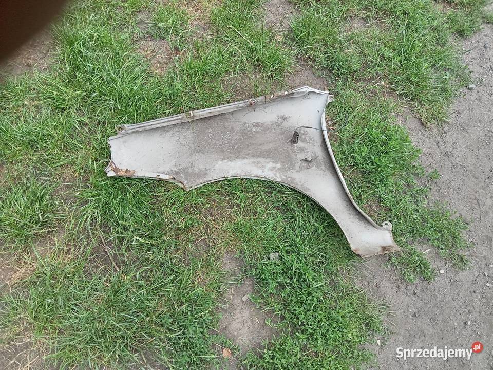 Seicento błotniki Błotniki łódzkie Teolin