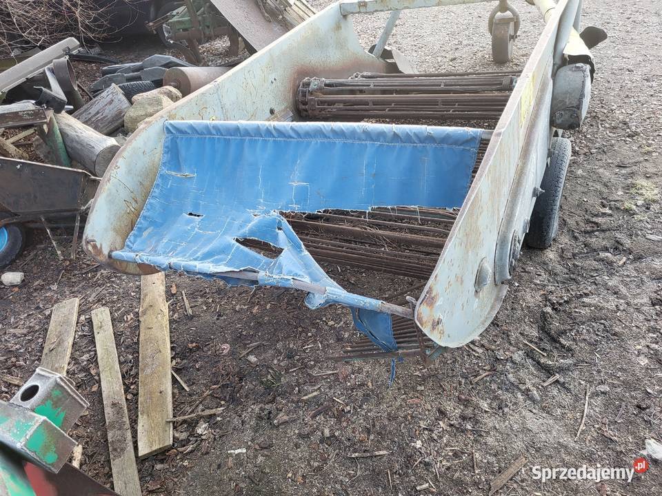 Kopaczka elewatorowa do ziemniaków Wiskitki sprzedam