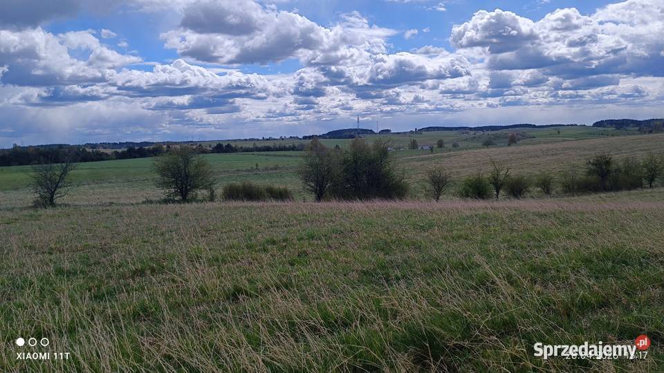 Działka z warunkami zabudowy bud rolna Trelkowo