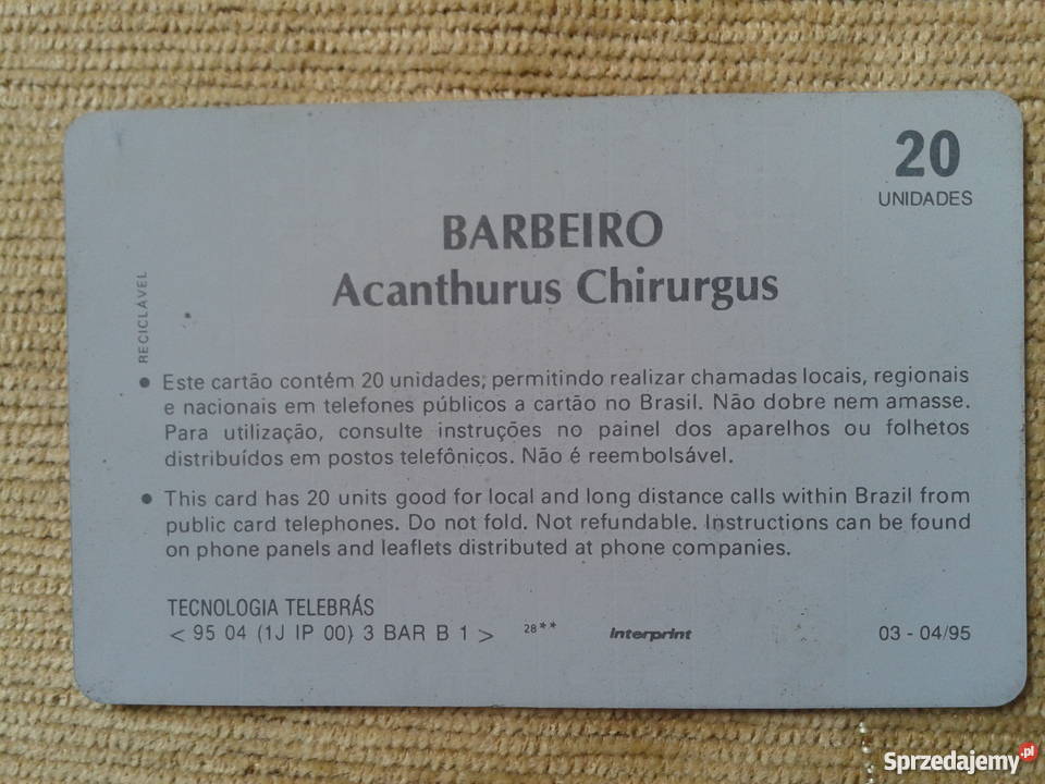 ACANTHURUS CHIRURGUS RYBA ZAMIESZKUJĄCA PŁYTKIE Piszczac