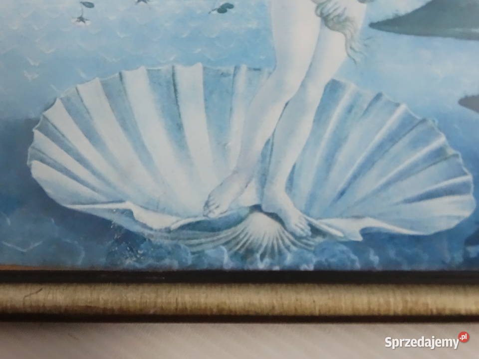 Ikona Renensansu Narodziny Wenus Botticelli Biłgoraj