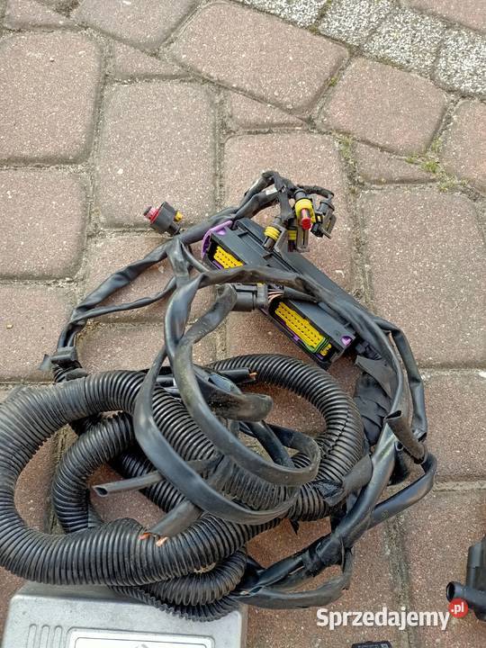 Komputer LANDIRENZO OMEGAS 4cylindry Sterownik Płock sprzedam