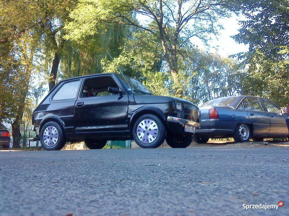 Maluch BIS podkarpackie Krosno