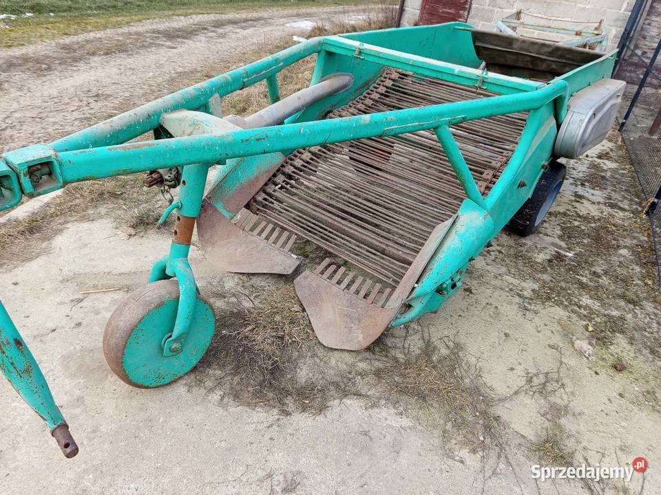 Kopaczki kopaczka elewatorowa ziemniaki warzywa łódzkie Szynkielów